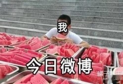 全民吃瓜,揭秘娛樂圈幕后故事