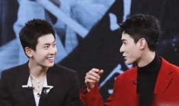 娛樂圈雙男主,雙男主攜手演繹娛樂圈的璀璨傳奇