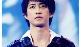 朝陽(yáng)黑料,揭開(kāi)真相背后的迷霧